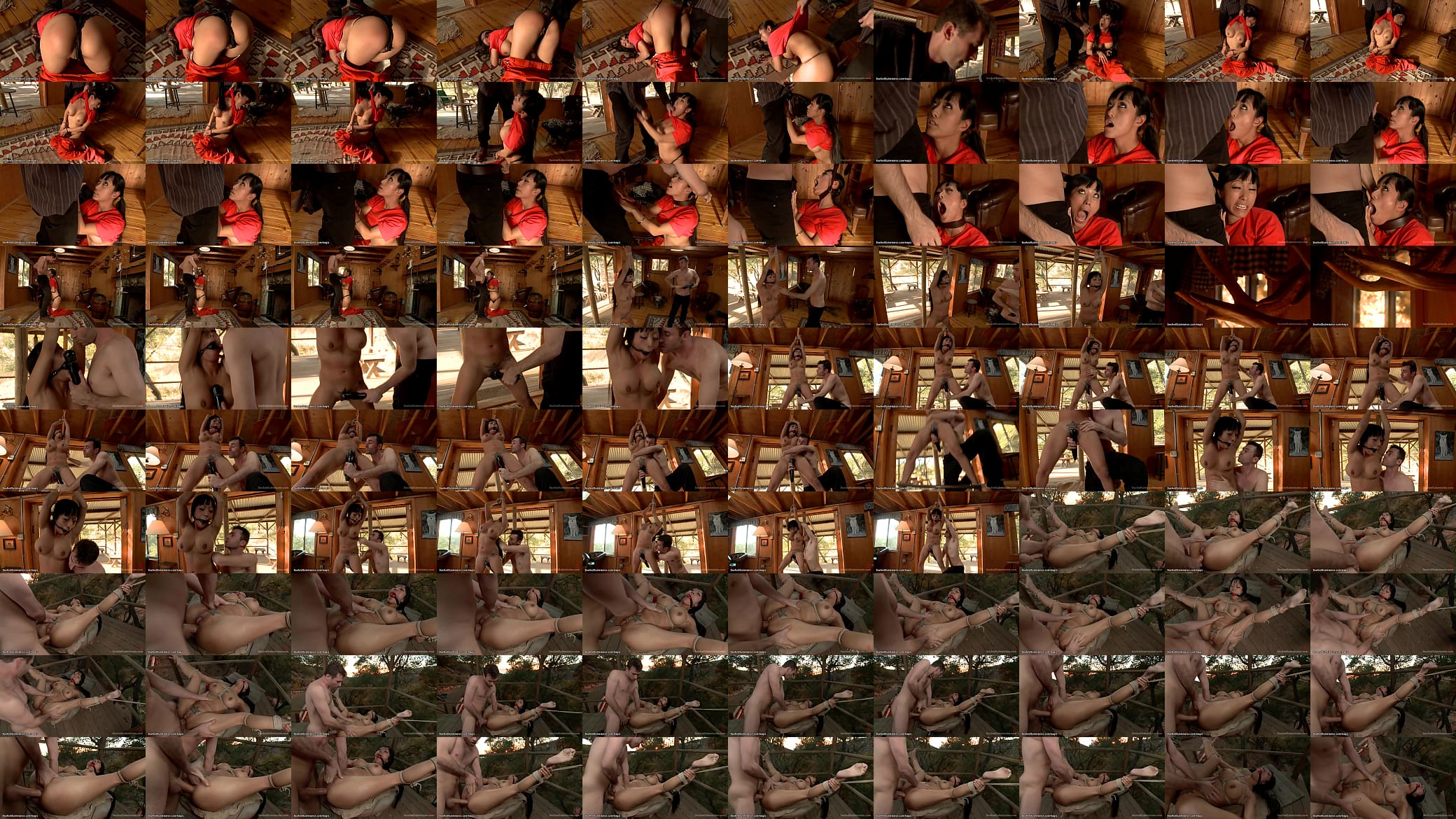 Asian inmate anal in country cabin 预览图
