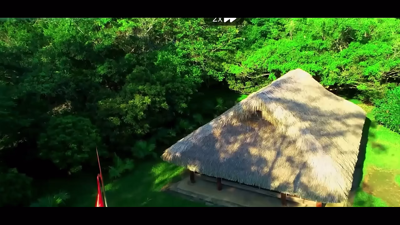 Video x&aacute_c minh