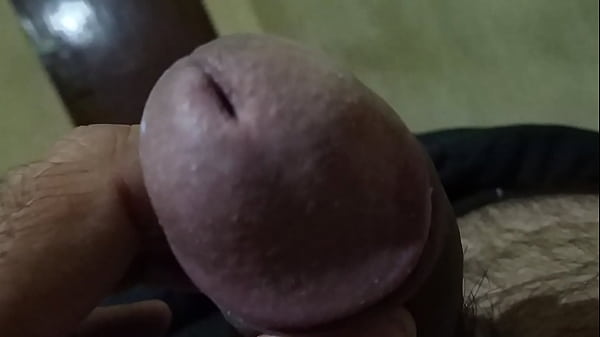 My own pennis