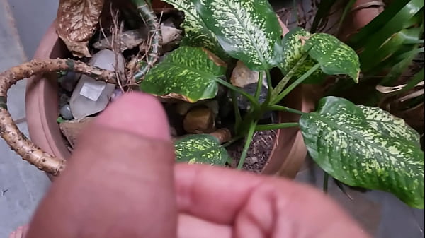 Download Video - Jato do pau peludo safado