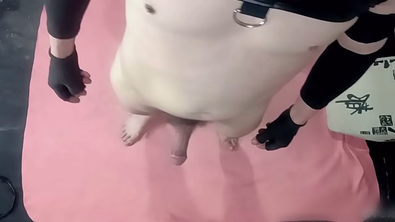 un perrito culion en el cuarto parte 4