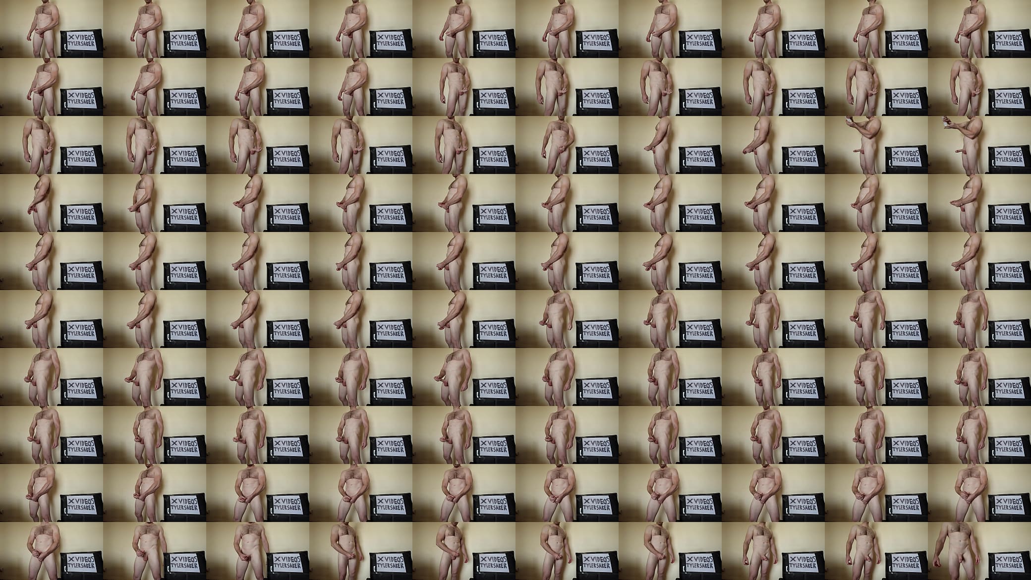 Verification video 预览图