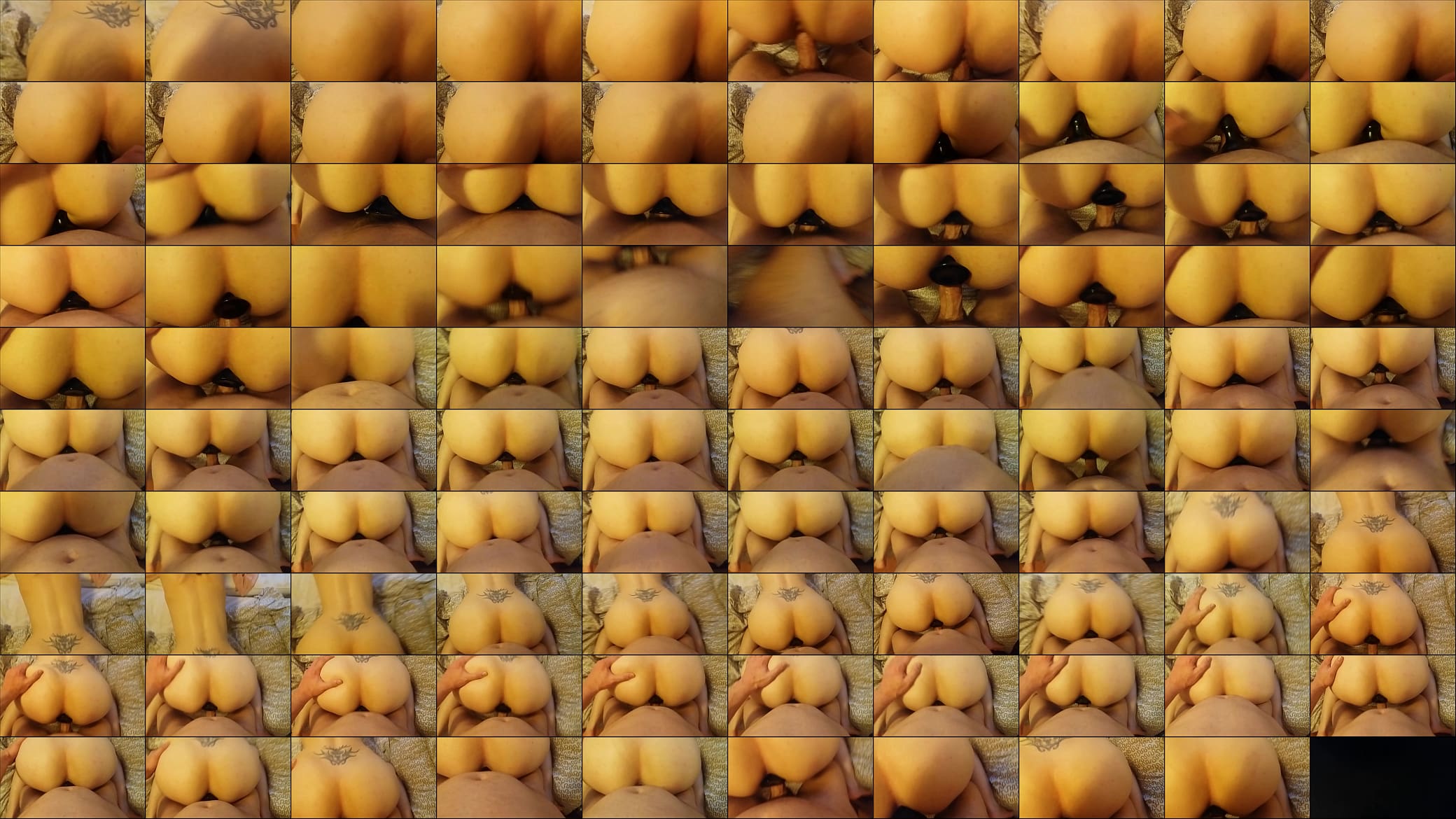 doggy with a big ass view 预览图