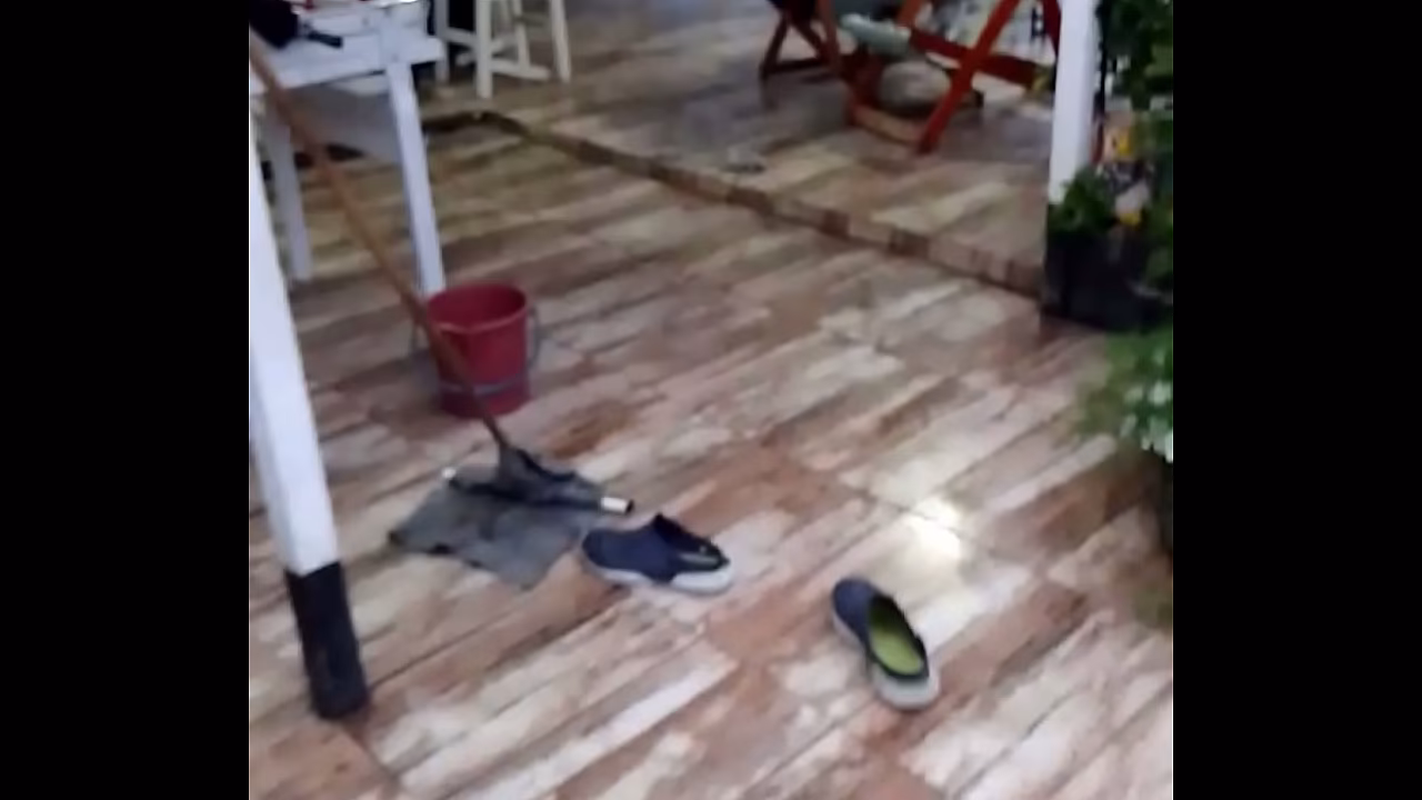 V&iacute_deo de verificaci&oacute_n