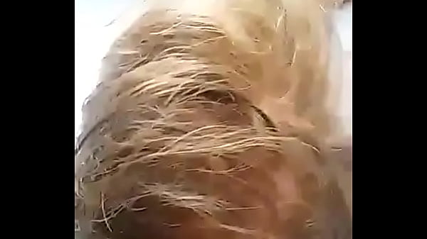 video-1447673476.mp4