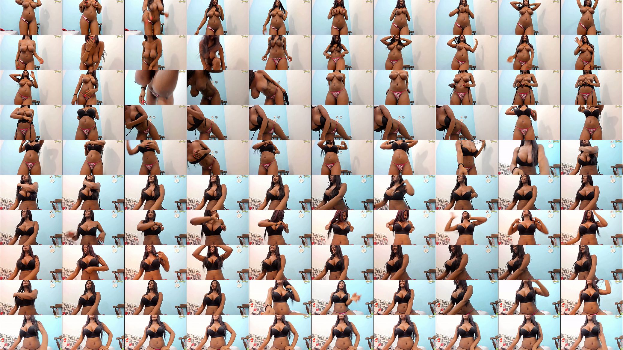 Ebony 预览图