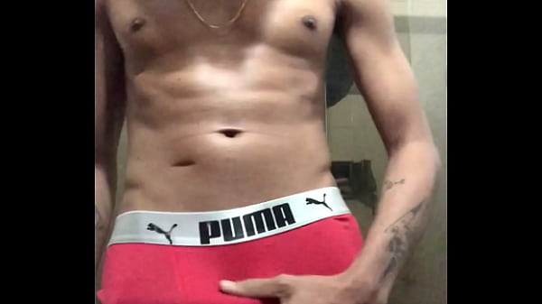 Download Video - Gosta de um malandro pauzudo&quest; Cavalo exibindo pra cam