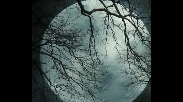 I love this little cum slut!!!