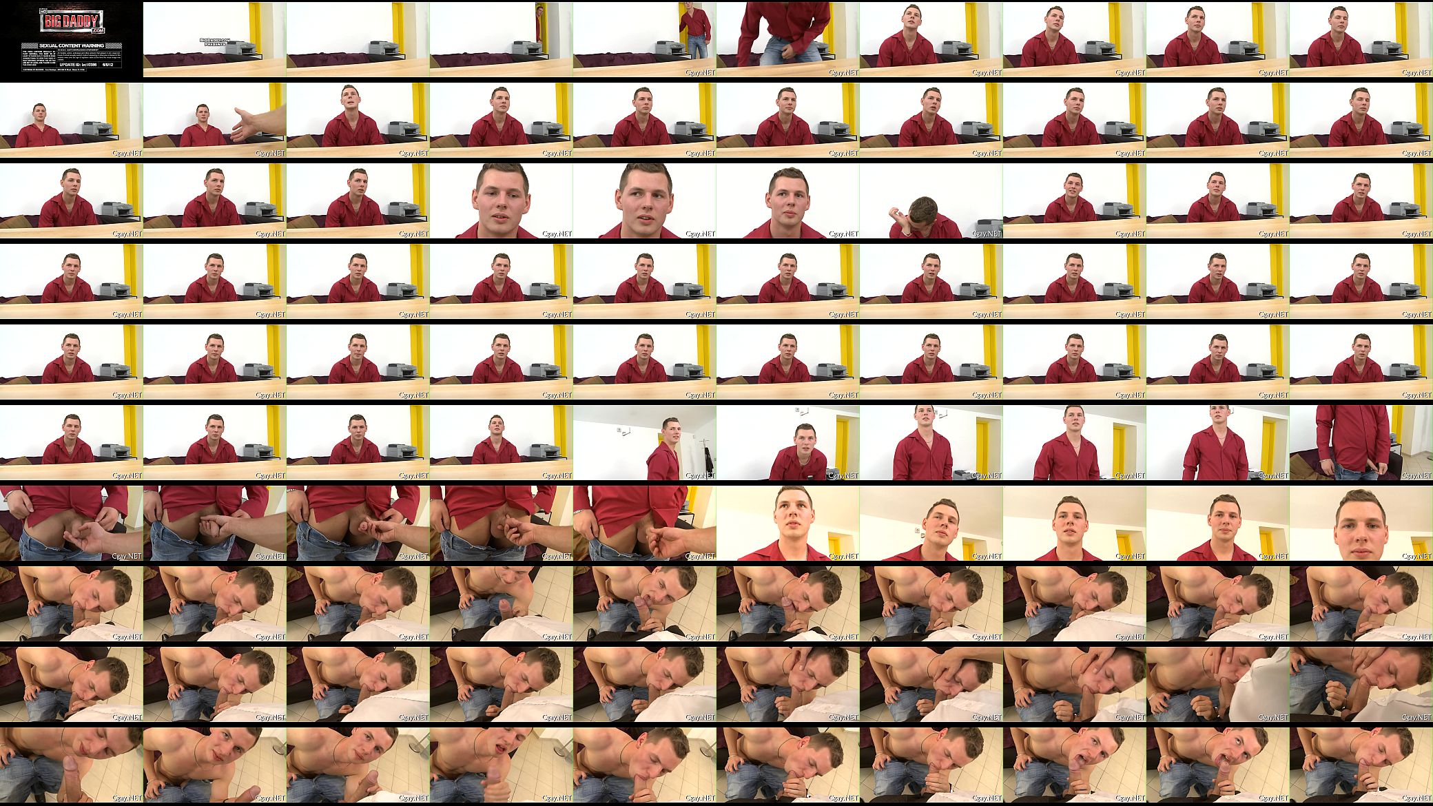 Homo ginger porn 预览图