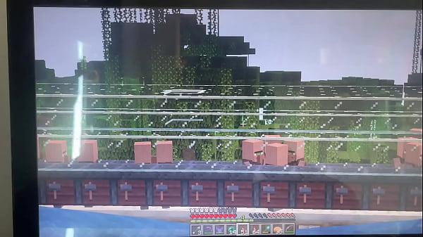 Big dick villager fucks female villager in minecraft