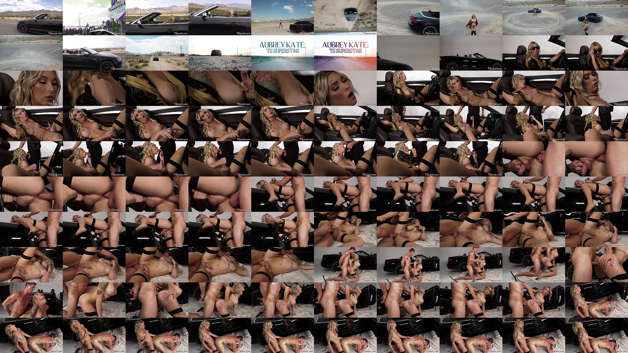 Transbabe Aubrey Kate loves anal 预览图