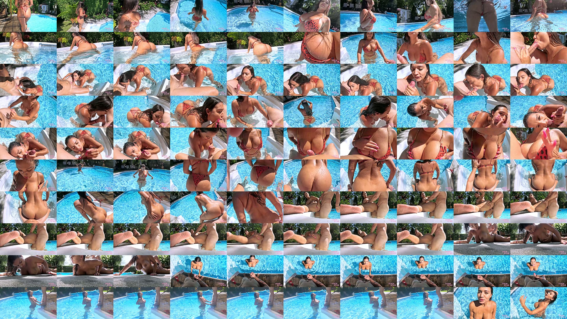 I FUCKED THE POOL BOY 预览图