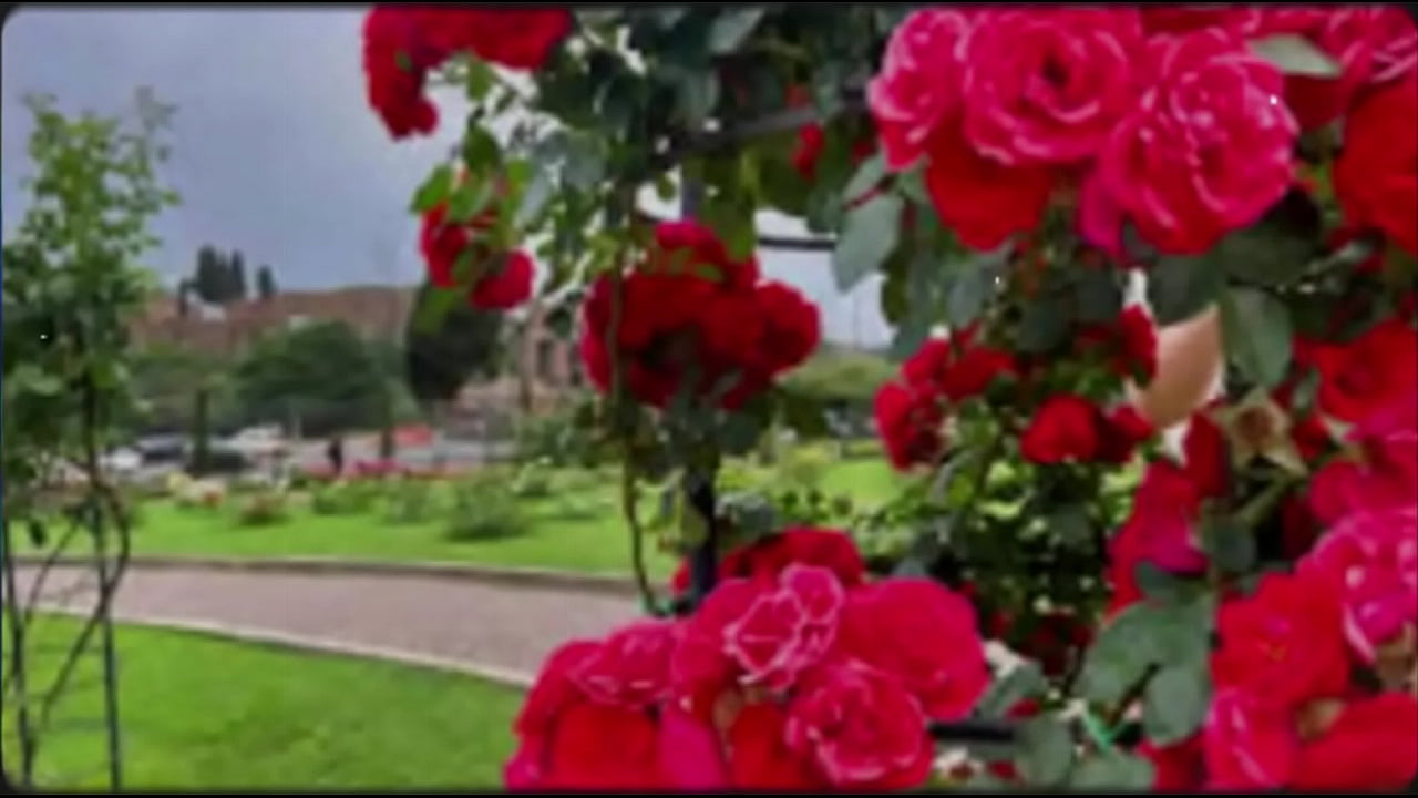 stepbro fills stepsis pussy with cum inside in hindi audio