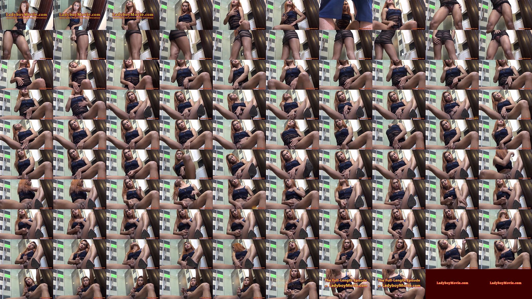 Amateur Ladyboy Adele Jerks Off 预览图