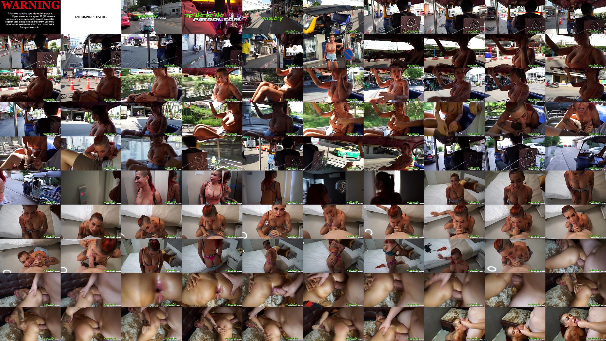 TUKTUKPATROL Big Tit Thai Porn Princess Macy Nihongo Anal Fucked 预览图