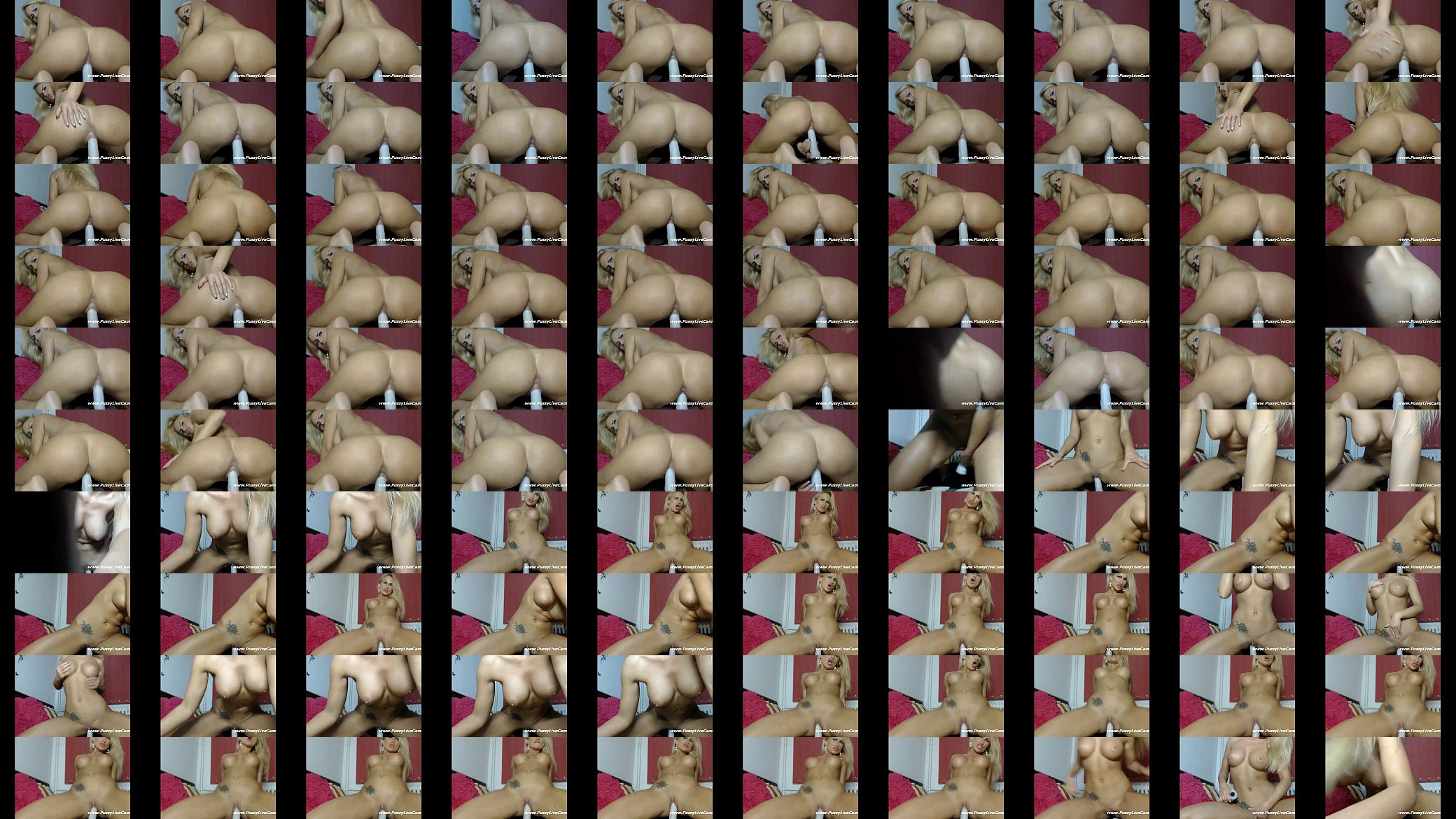 Sexy Ass Blonde Riding Dildo On Livecam 预览图