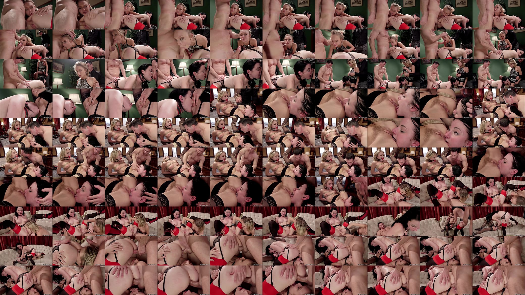 Slaves anal fucked and made rimming 预览图