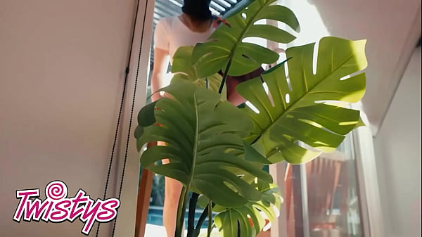 TWISTYS - Naughty Babes Lulu Chu And Demi Hawks Lick Sedona Reign's Pussy At The Same Time