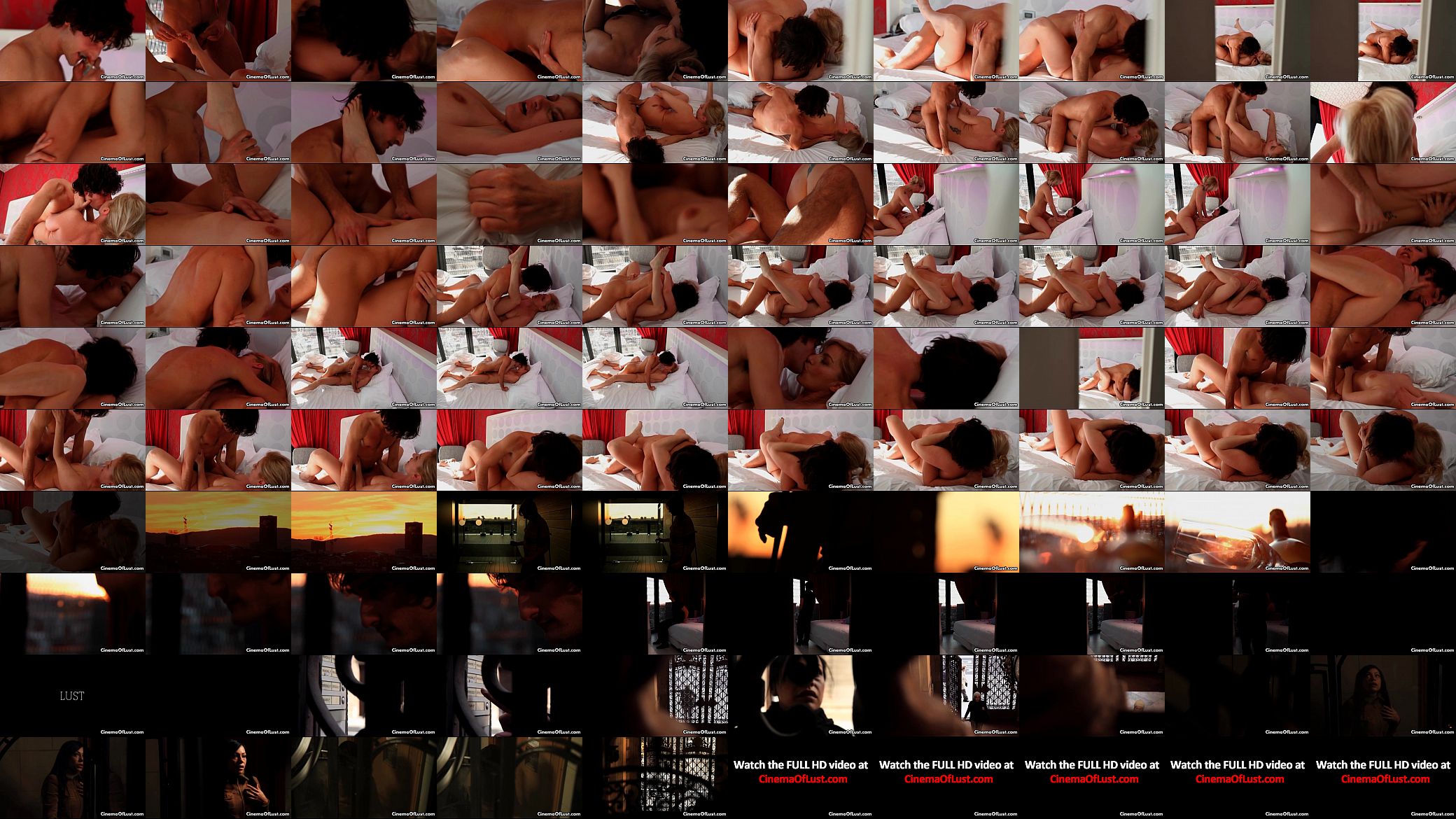 Hot couple having sensual sex 预览图