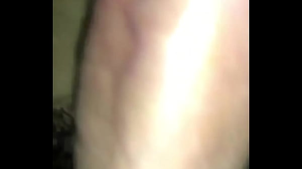 Bot cu to cưỡi ngựa TOP