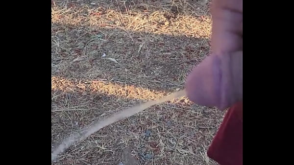 Kaso221 - outside piss