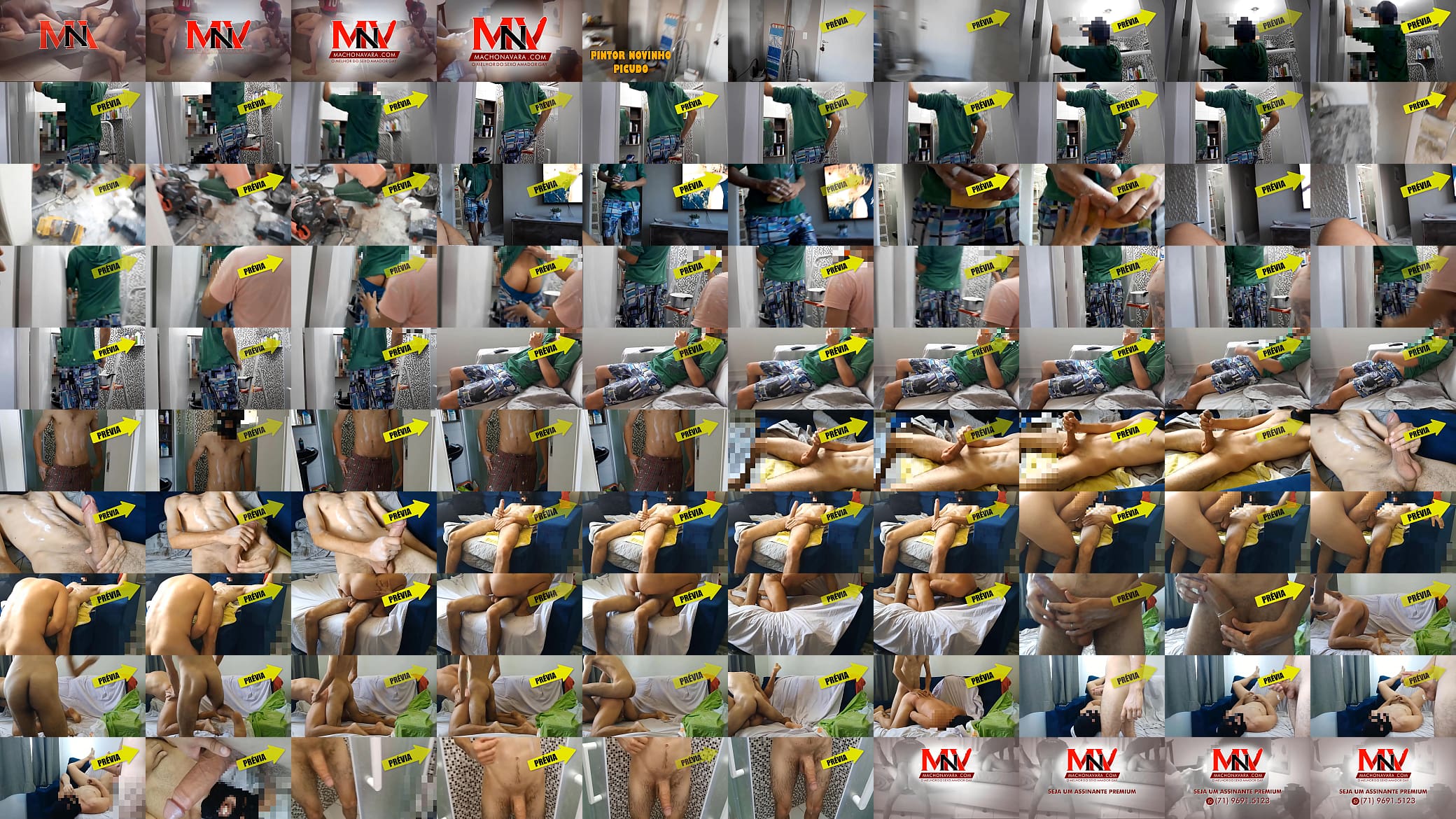 O PINTOR NOVINHO PICUDO - PREVIA 预览图