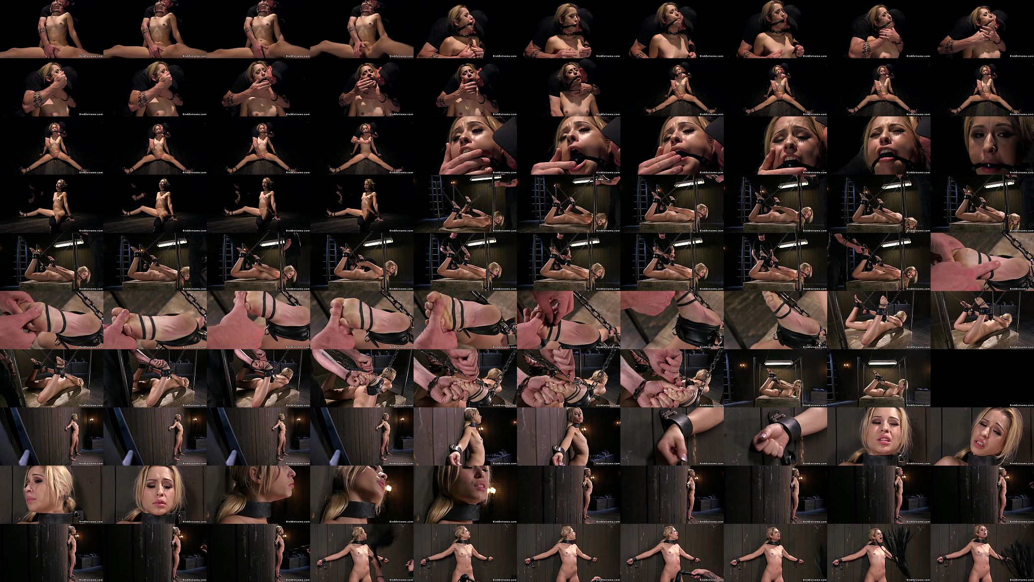 Shackled and chained blonde tormented 预览图