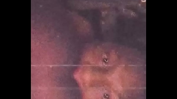 Download Video - Dorm bros sexcapdes