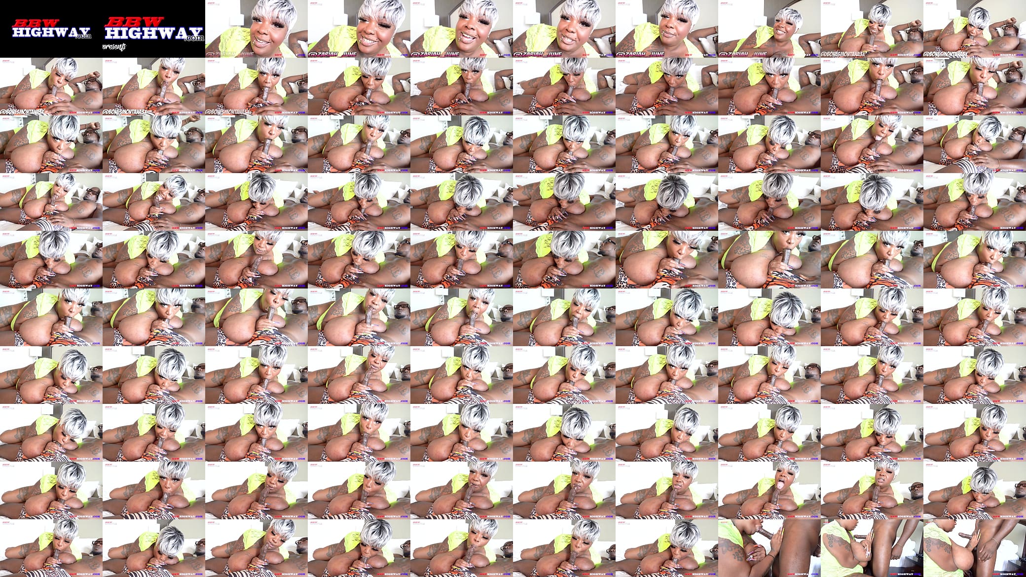 zariah june sucking bones montana cock 预览图