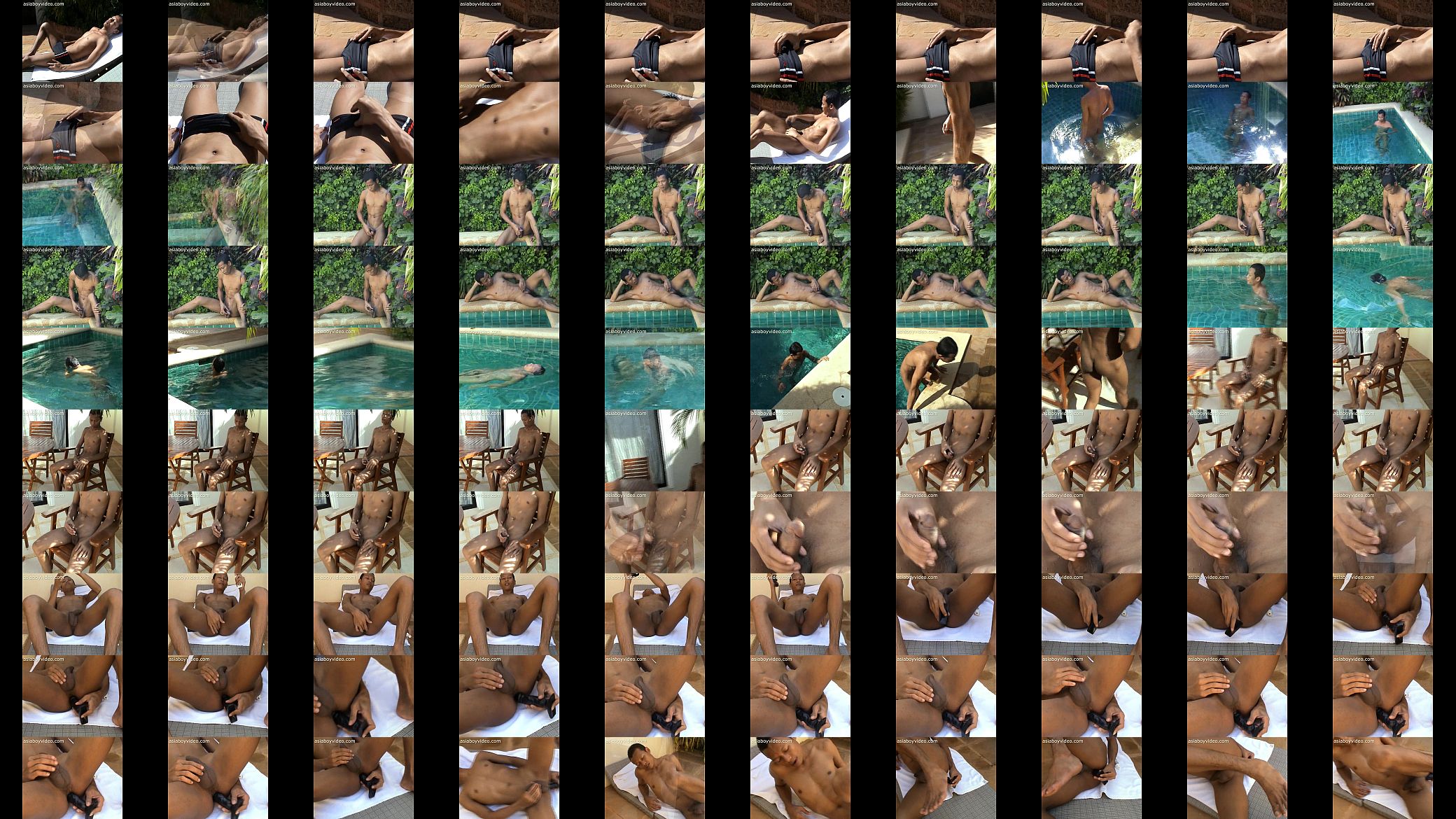 Bird By The Pool 预览图