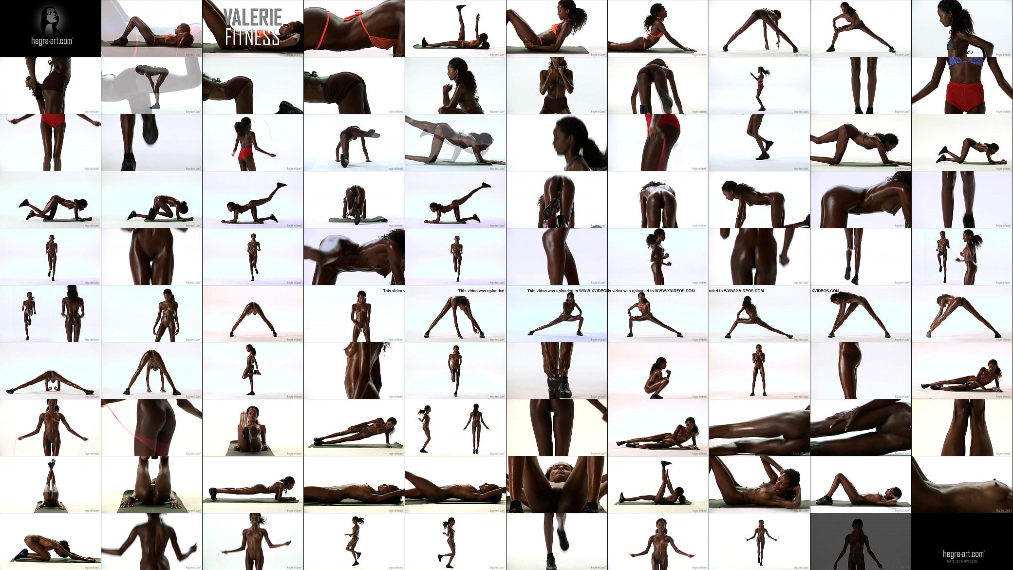 The black chew stick 预览图