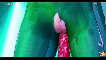 Totally Spies:Trap and Professor's Creampie Lab - Mollyredwolf
