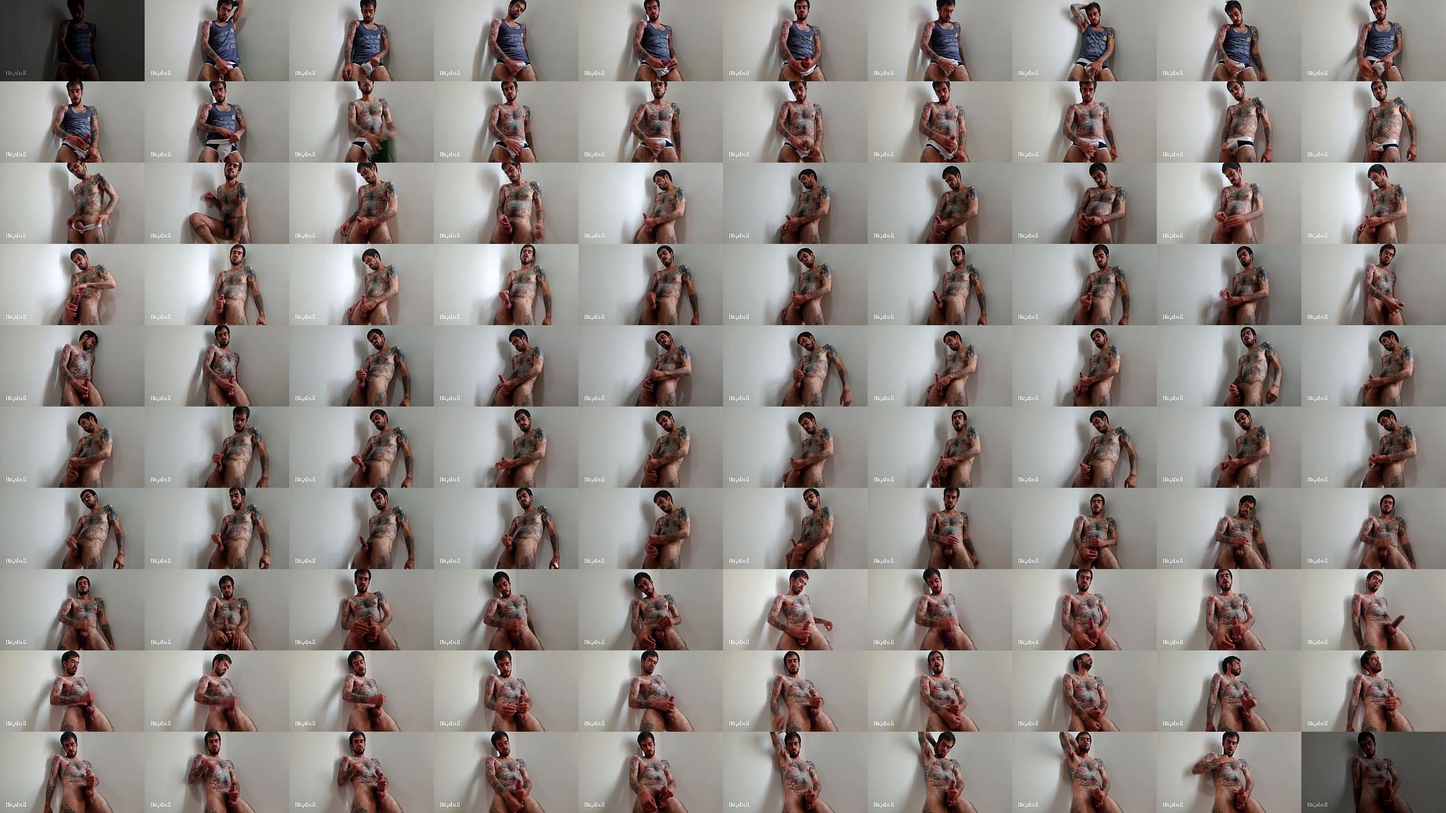 Me desnudo para las perras 预览图