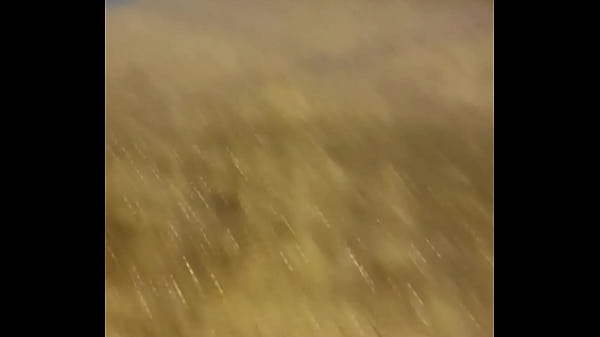 Tu as envie de voir à quel point je suis une bonne petite salope??Viens vite ...