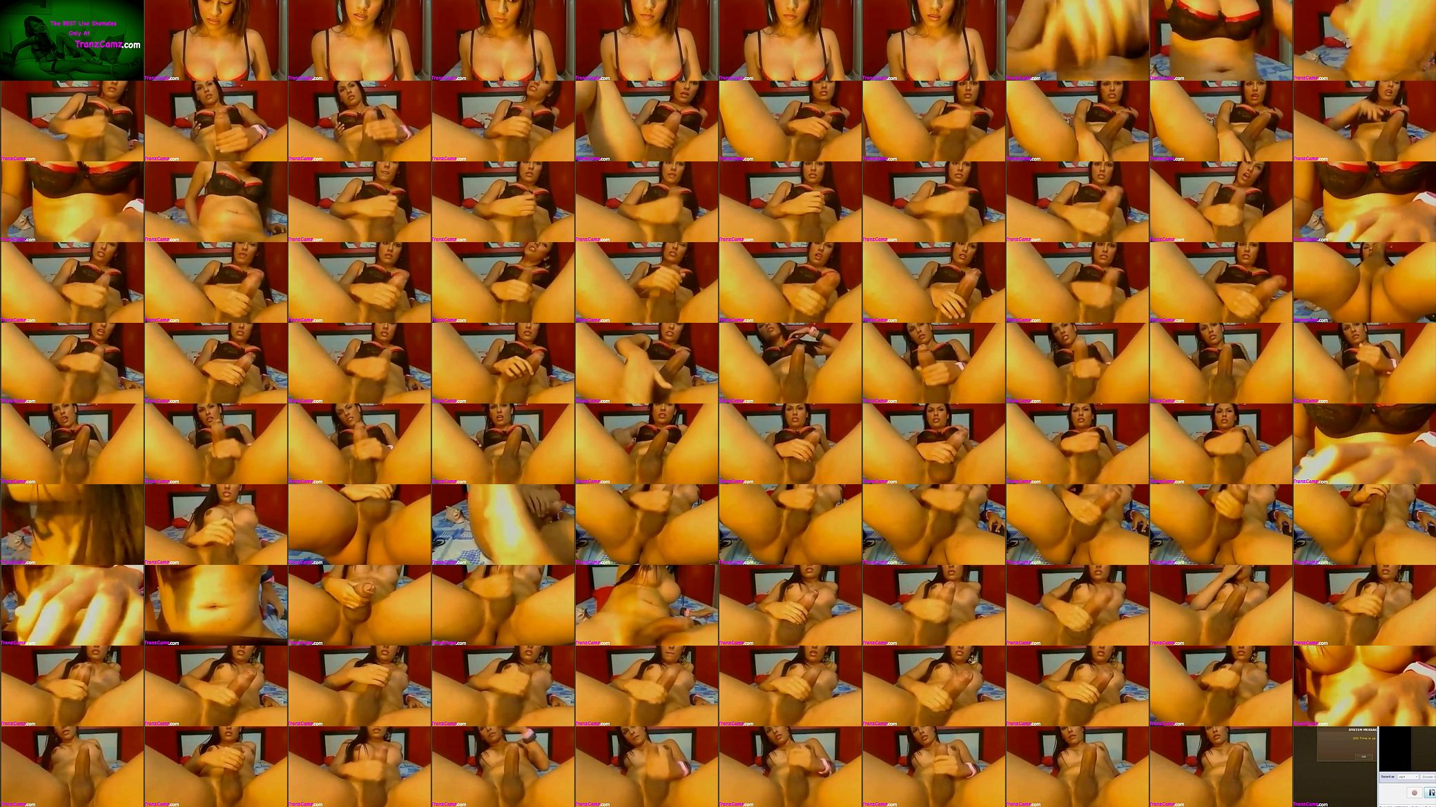Latina shemale masturbates on cam big cock 预览图