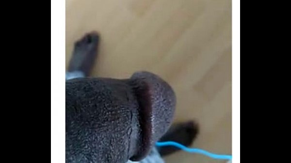 Sekou Dambakate en pleine marstubation