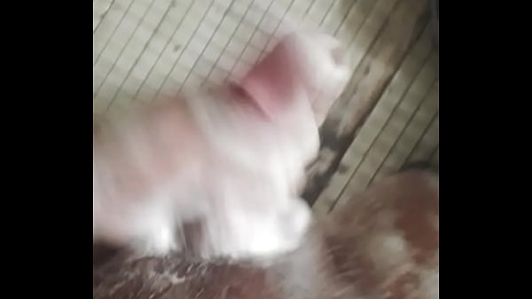 Download Video - Me masturbo  mientras me ba&ntilde;o