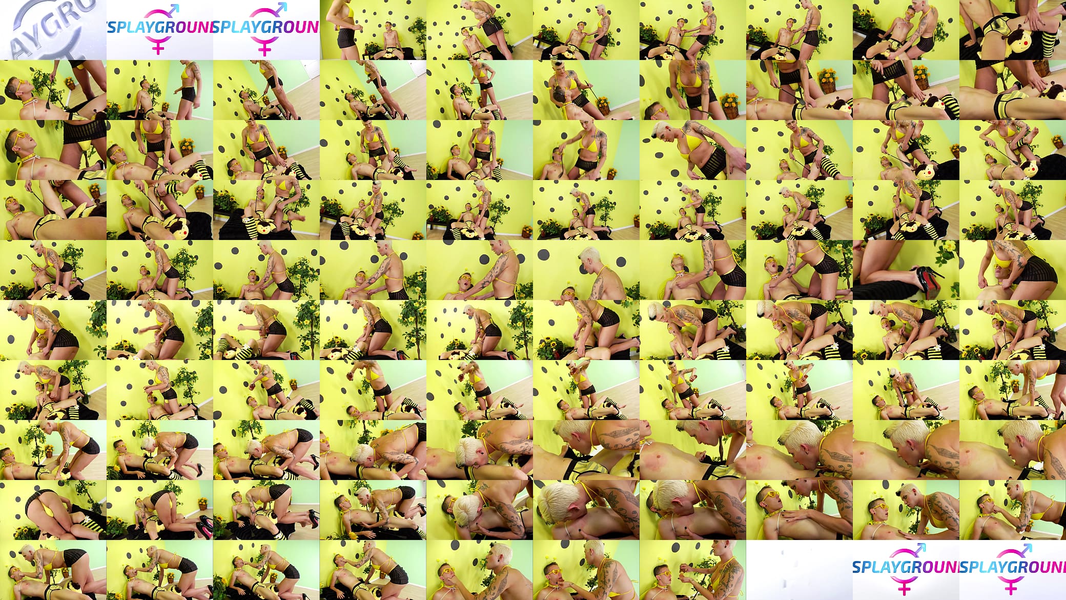 Danni Daniels catch and play with petite bee 预览图