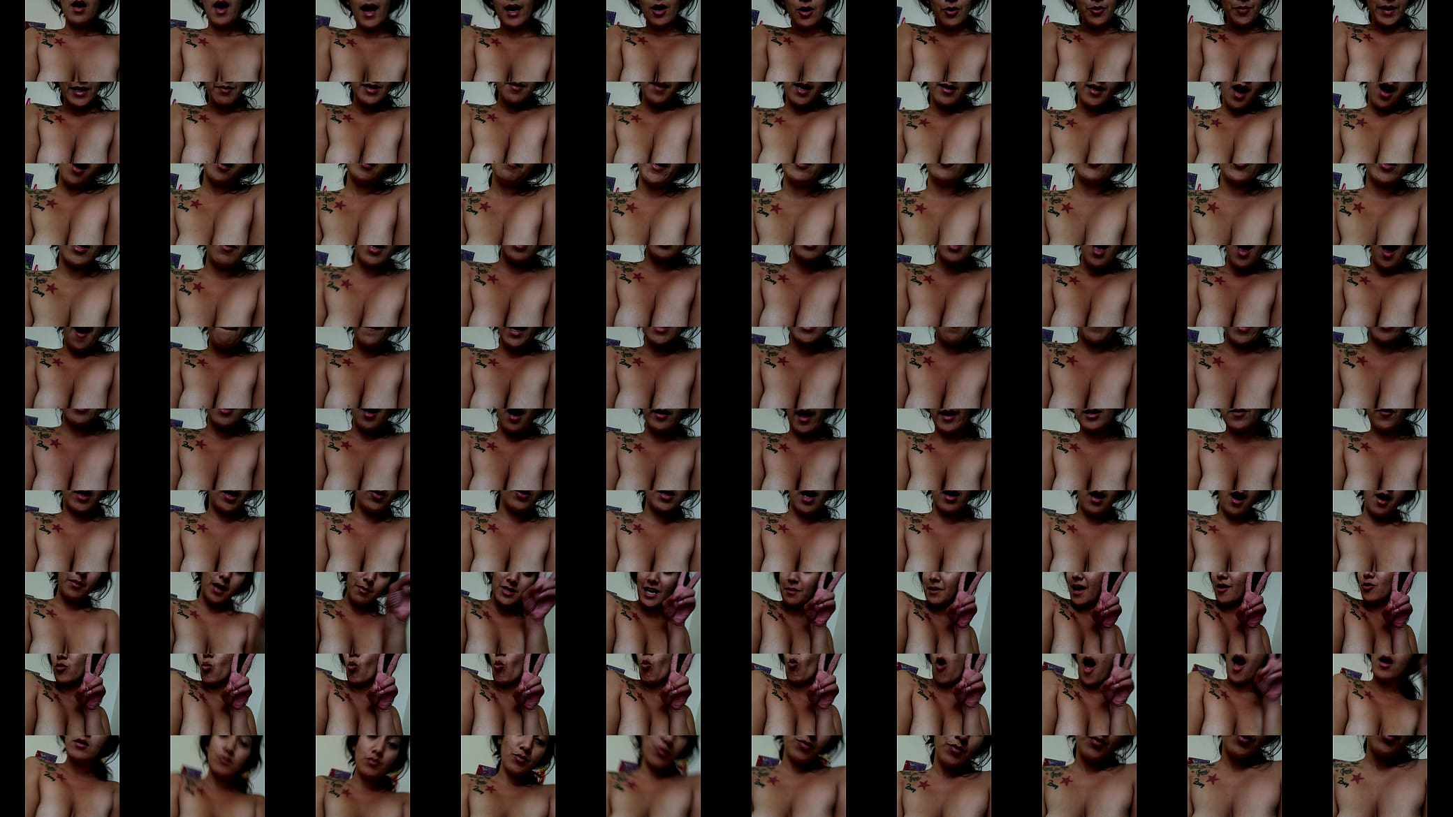 Verification video 预览图