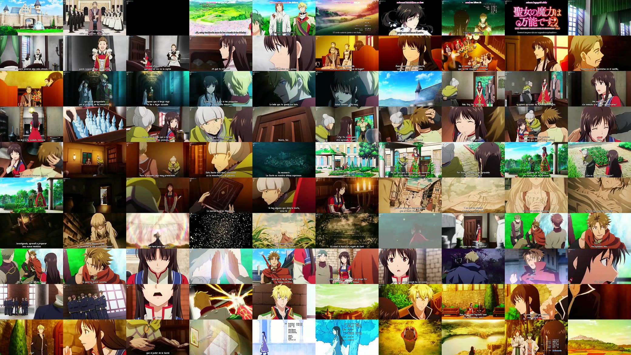 Seijo no Maryoku wa Bannou Desu cap 10 sub 预览图