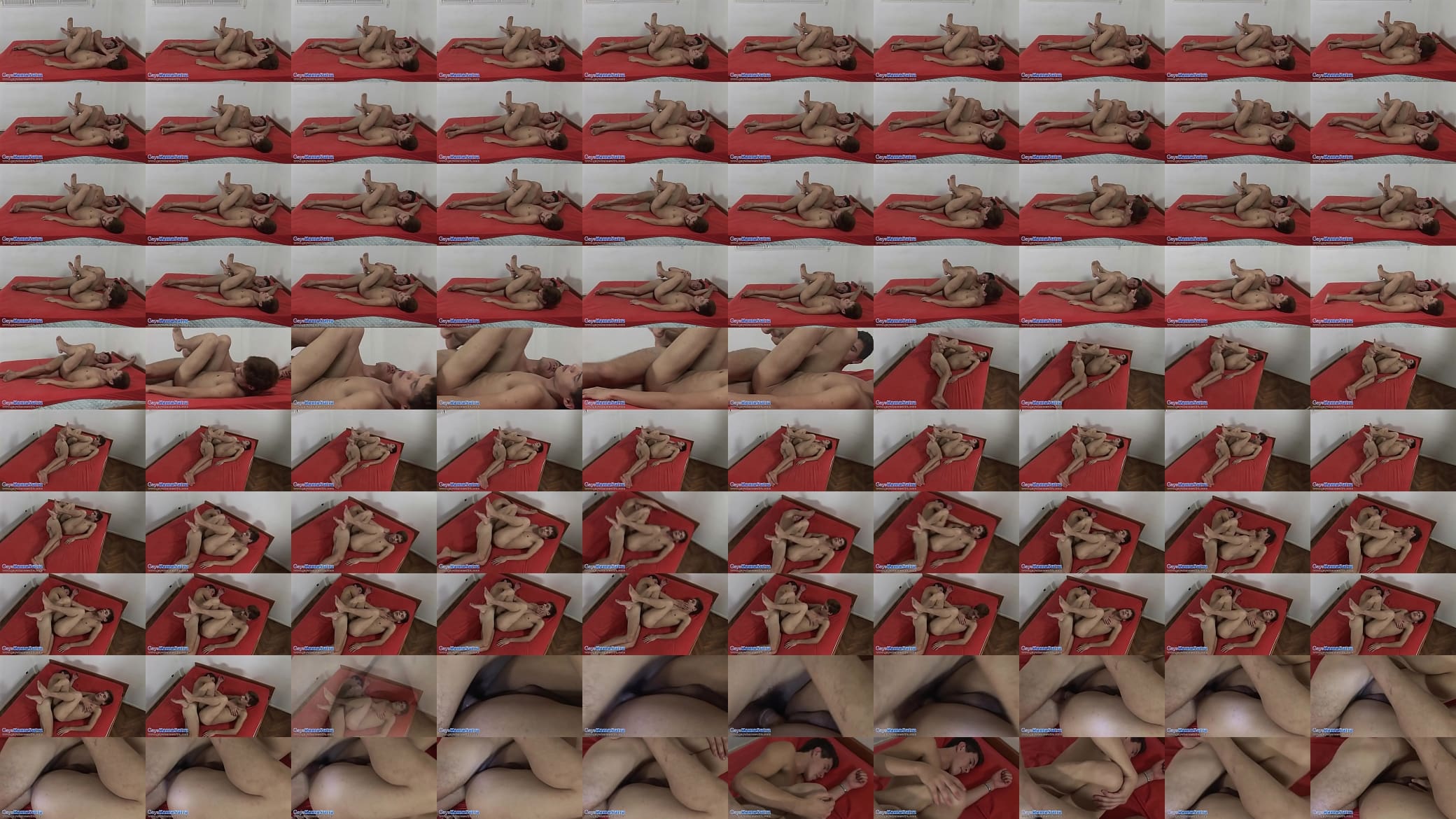 Gays Kamasutra pose: Cross 预览图