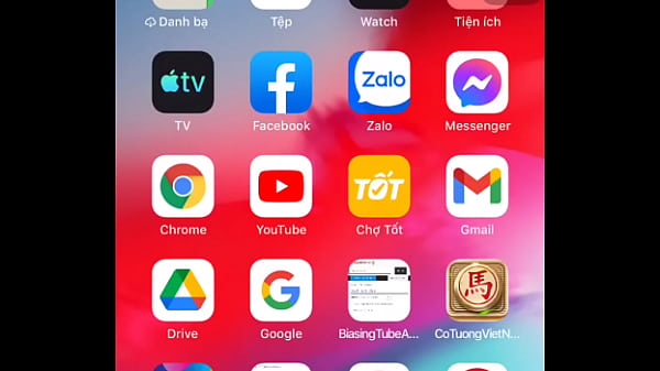 Video x&aacute;c minh