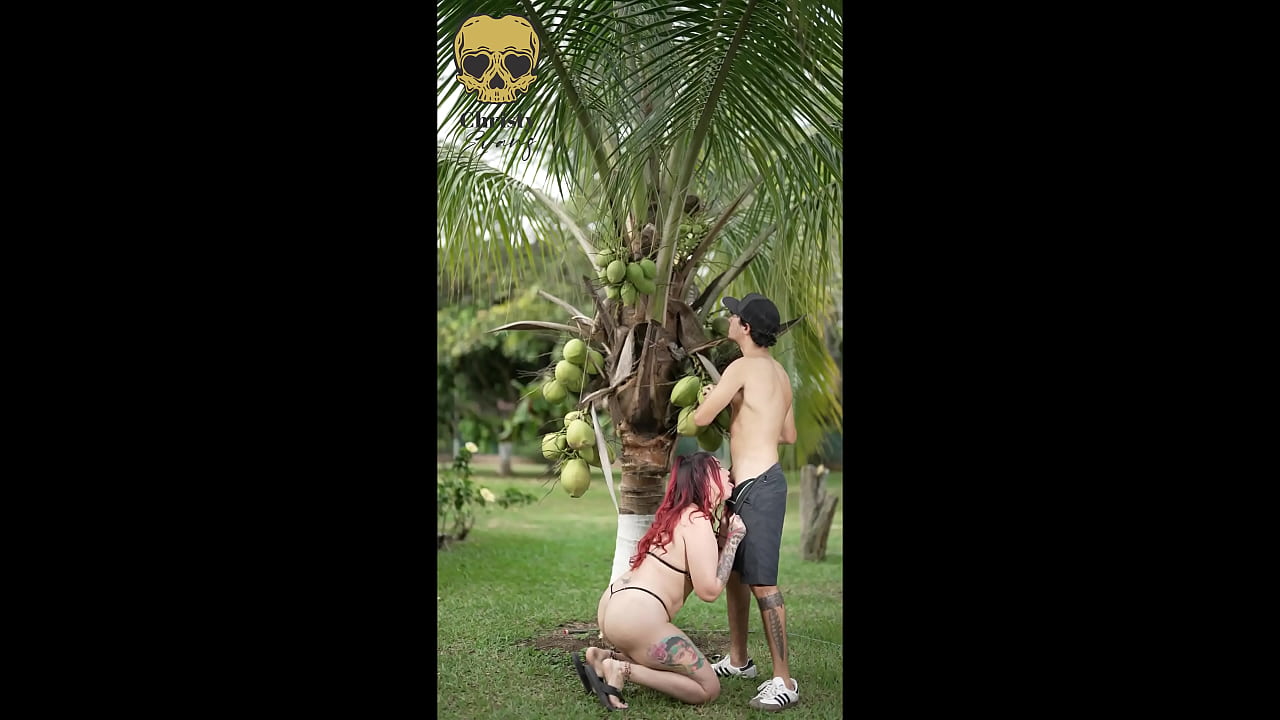 Una pequeña pero deliciosa mamada al aire libre.
                    licking latina outdoor pornstar milf blowjob slut tattoo ass licking huge tits whore ball licking new big tits redheads big cock pink pussy colombia big booty mature woman wet blowjob huge cumload slut humiliation whore humiliation muchos negros