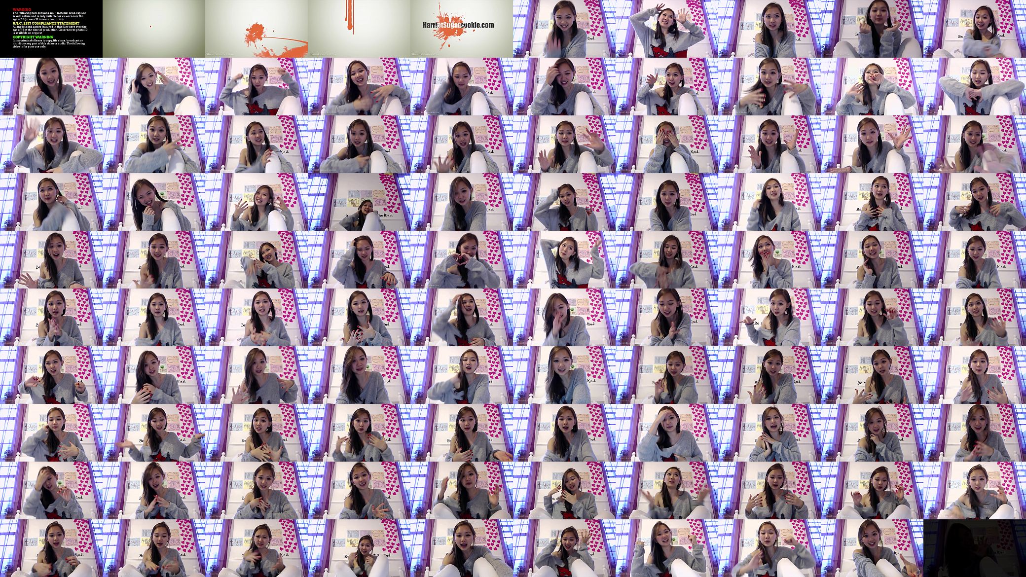 Harriet Sugarcookie vlog 预览图