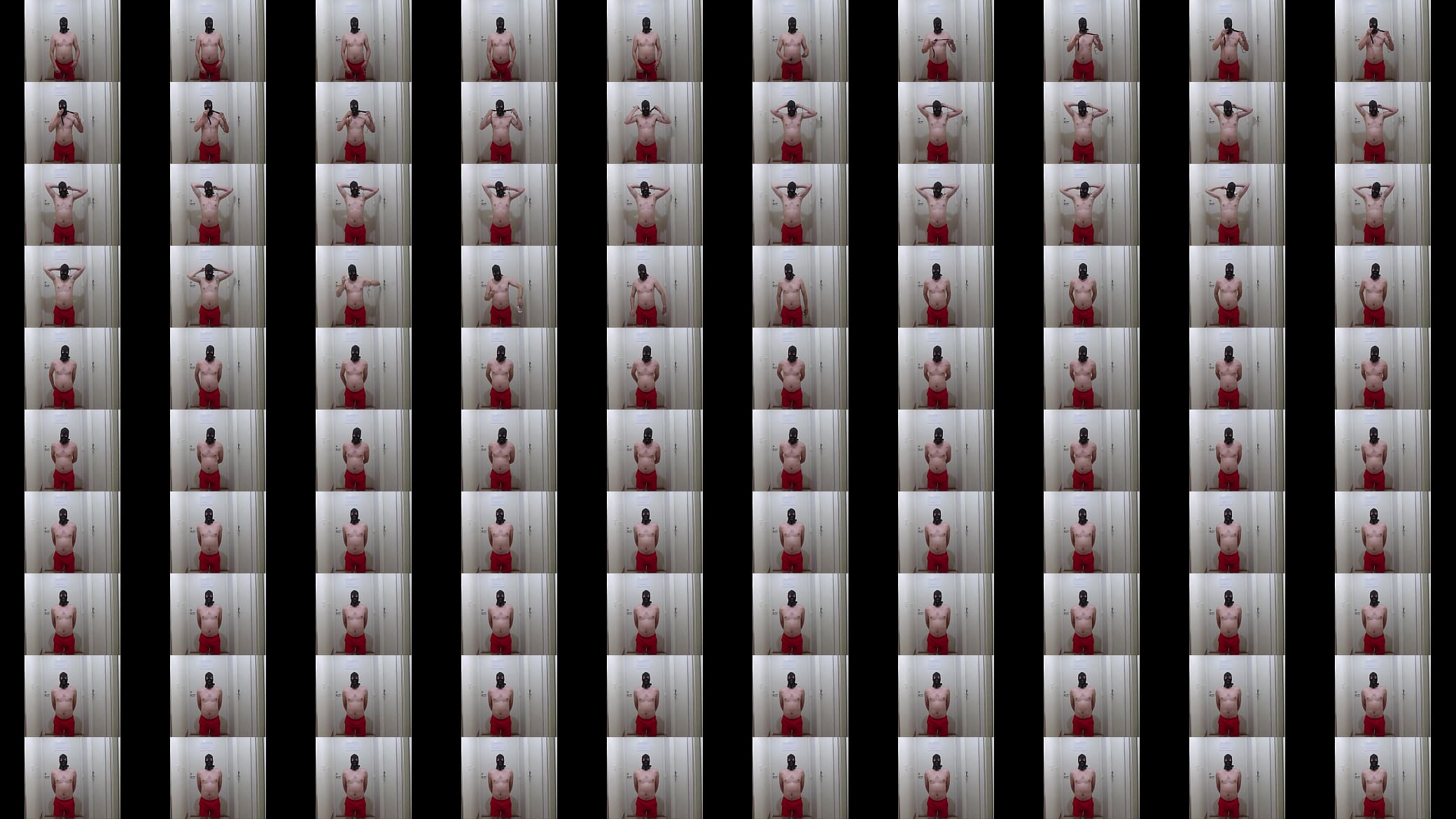 Verification video 预览图