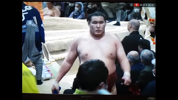 Nephew-chan, match-fixing today