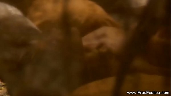 Exotic Erotic Indian Kama Sutra