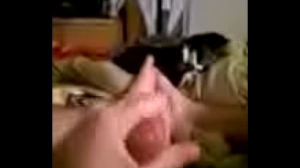 video:28138