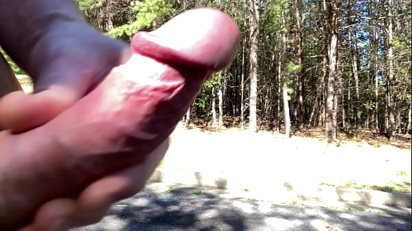 Download Video - Clitlicker662 - update &num;13 - IMG 1223 - Oct 13&comma; 2024