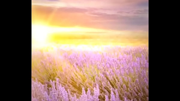 Download Video - playful lingerie